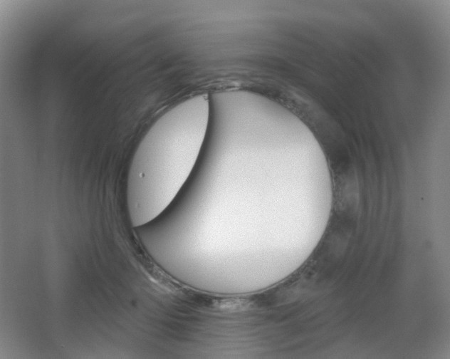 X0000065230414200602170933
