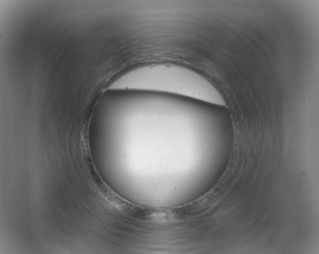 X0000065230415200602170933