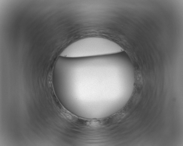 X0000065230419200602170933