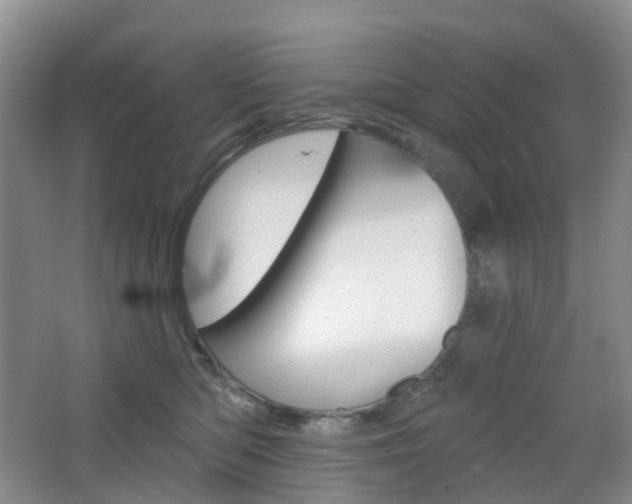 X0000065230422200602170933