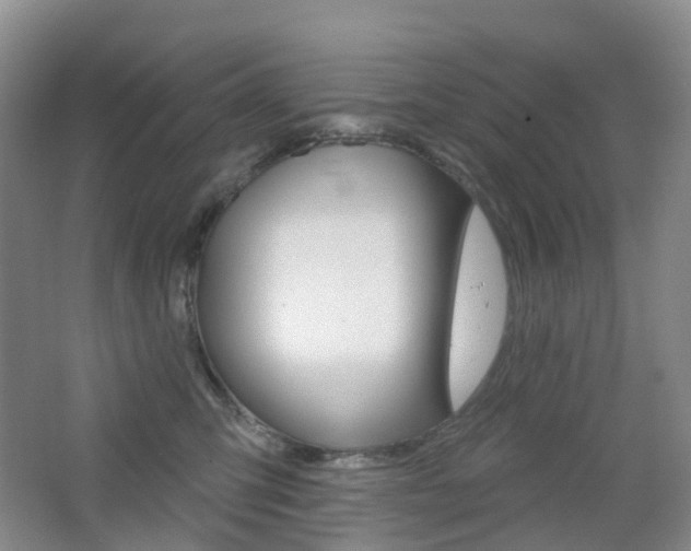X0000065230423200602170933