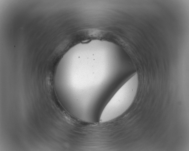 X0000065230424200602170933