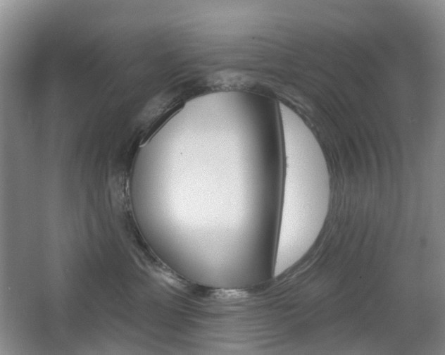 X0000065230429200602170933