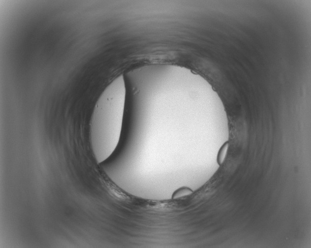 X0000065230430200602170933