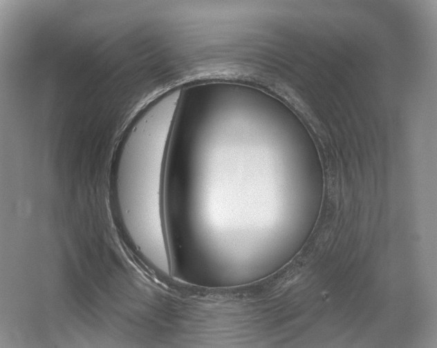 X0000065230434200602170932