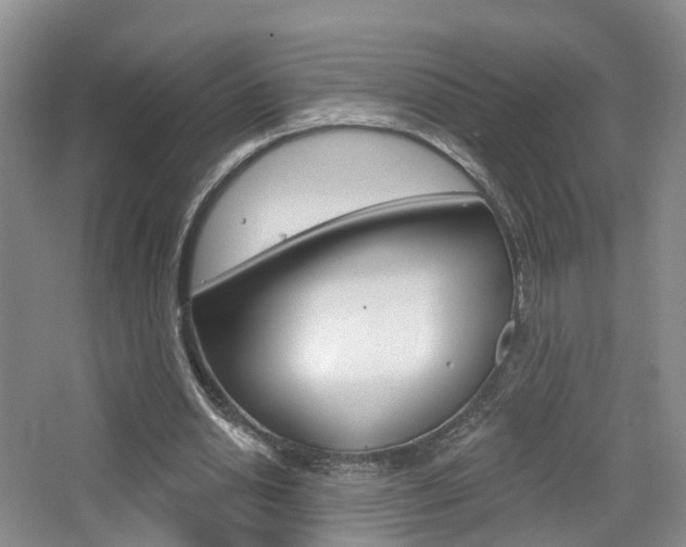 X0000065230438200602170932