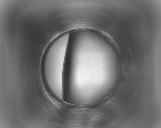 X0000065230439200602170932