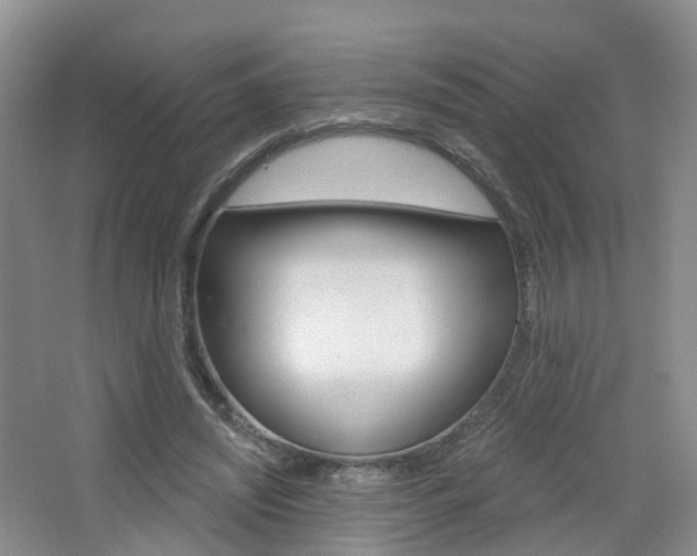 X0000065230444200602170932