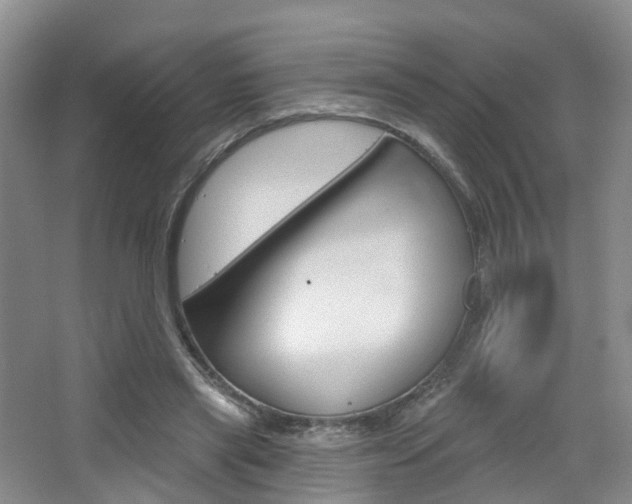 X0000065230445200602170932