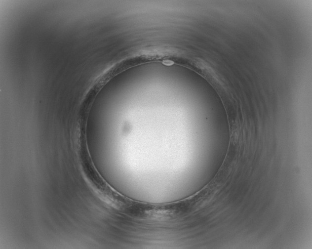 X0000065230448200602170932