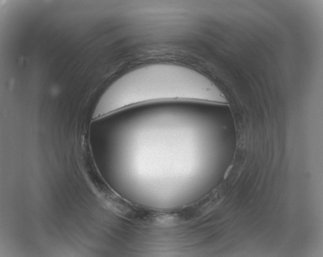 X0000065230456200602170932