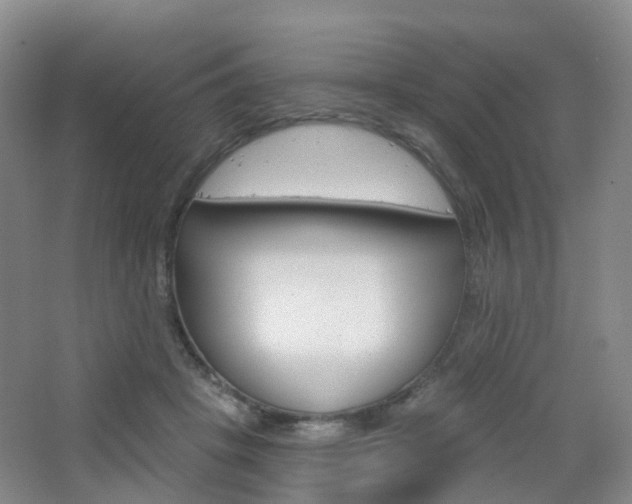 X0000065230457200602170932