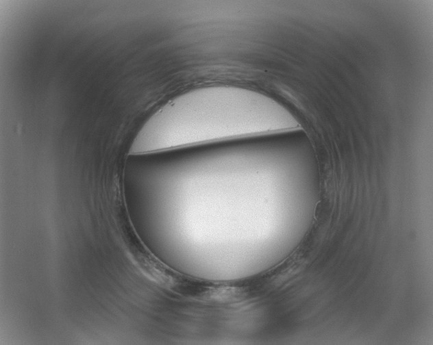 X0000065230459200602170932