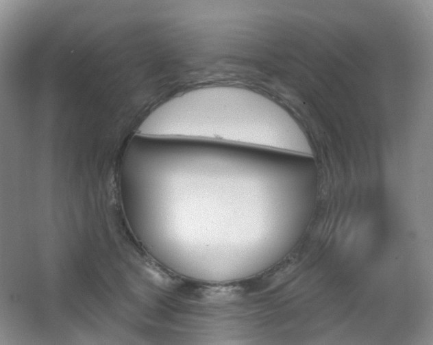 X0000065230465200602170932