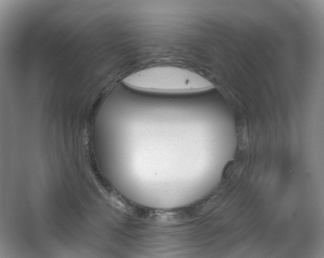 X0000065230472200602170933