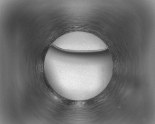 X0000065230474200602170933