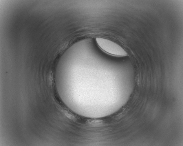 X0000065230476200602170933