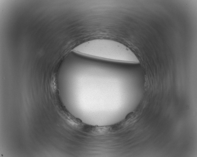 X0000065230479200602170933