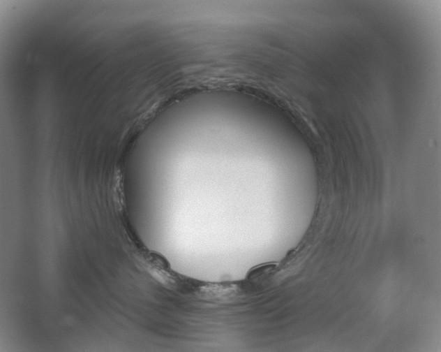 X0000065230480200602170933
