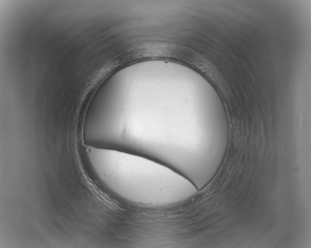 X0000065230482200602170932