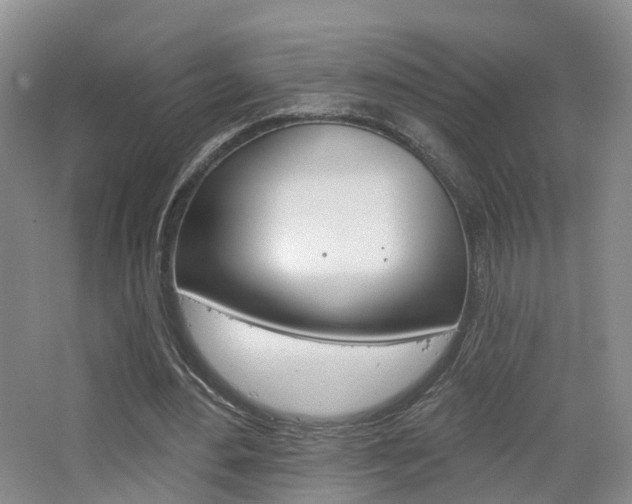 X0000065230484200602170932