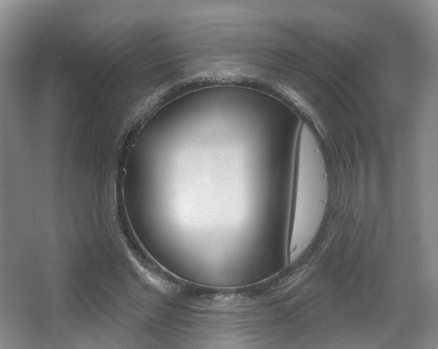 X0000065230493200602170932