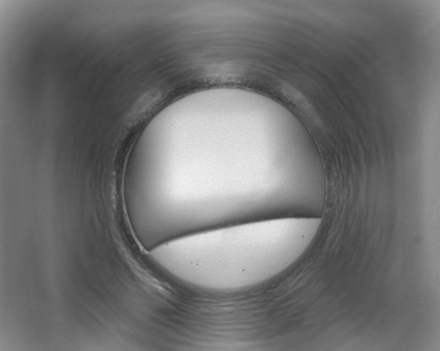 X0000065230494200602170932