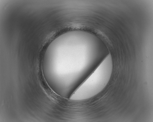 X0000065230496200602170932