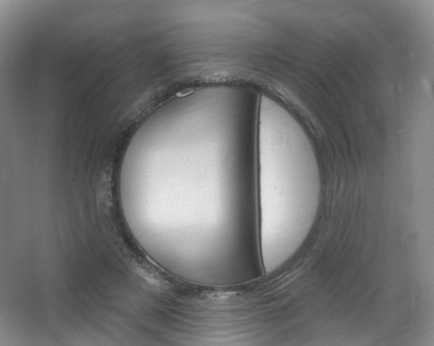 X0000065230497200602170932
