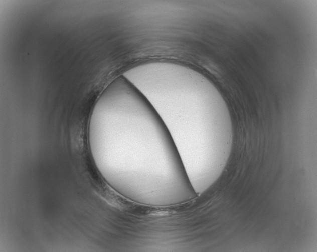 X0000065230499200602170932
