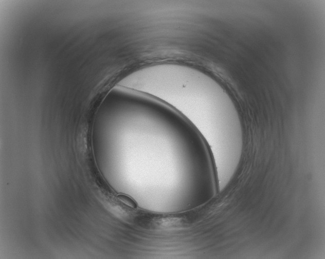 X0000065230501200602170932