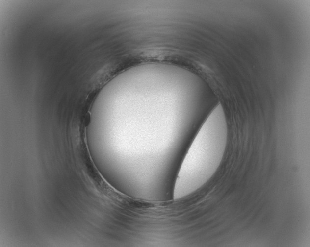 X0000065230504200602170932