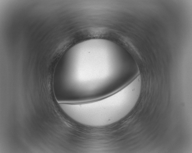 X0000065230505200602170931