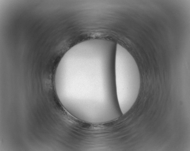 X0000065230510200602170931