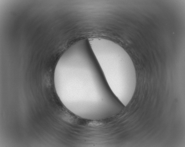 X0000065230515200602170931