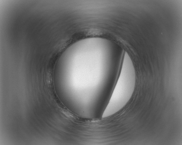 X0000065230517200602170931