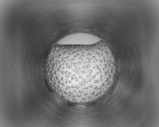 X0000065230519200602170931