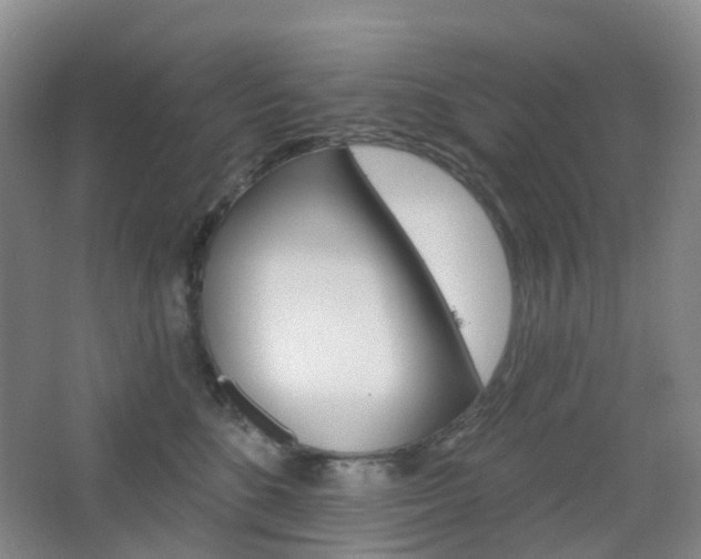X0000065230520200602170931
