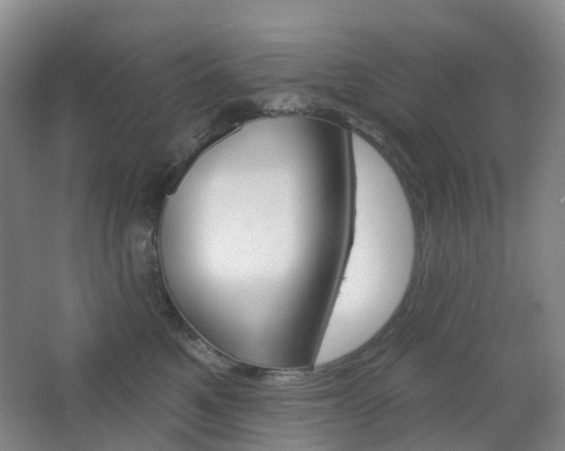 X0000065230521200602170931