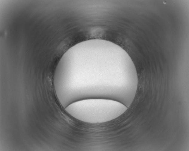 X0000065230522200602170931