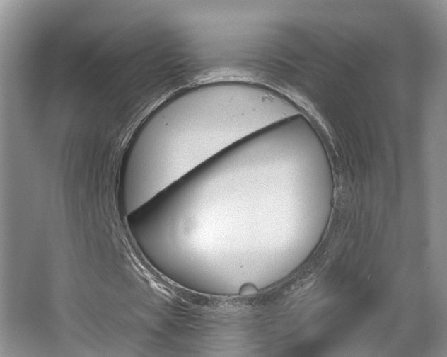 X0000065230529200602170930