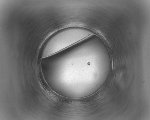 X0000065230531200602170930