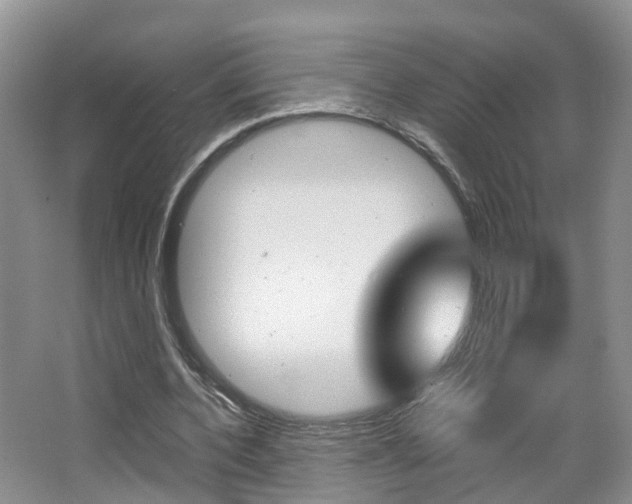 X0000065230532200602170930