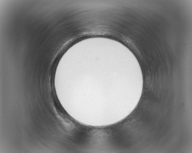 X0000065230534200602170930
