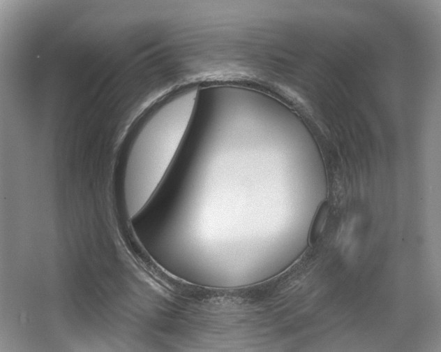 X0000065230535200602170930
