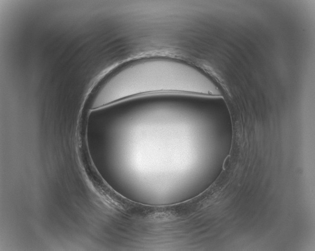 X0000065230536200602170930