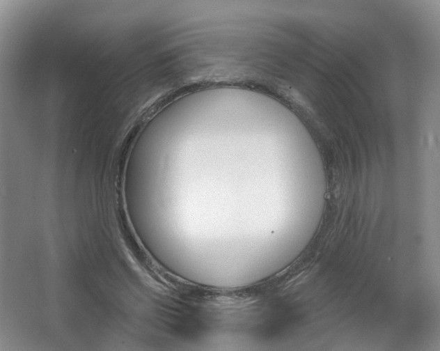 X0000065230542200602170931