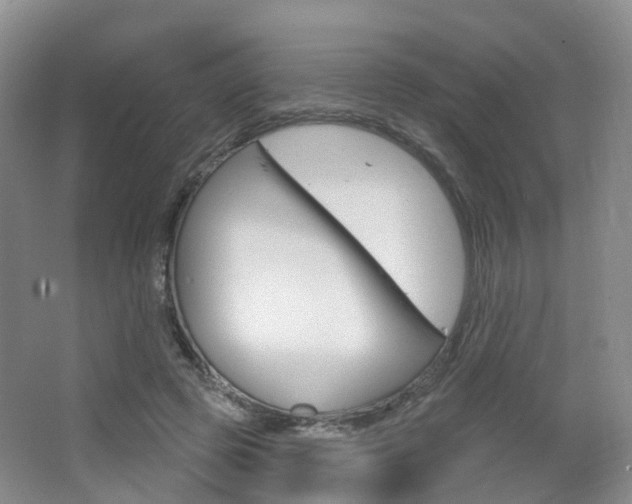 X0000065230545200602170931
