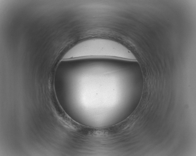 X0000065230546200602170931
