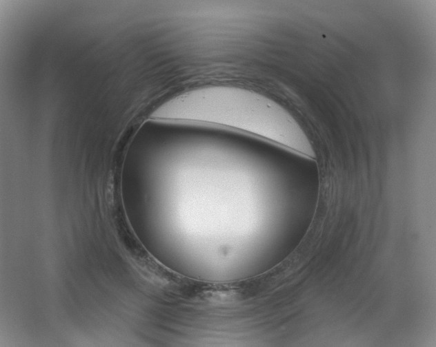 X0000065230552200602170931